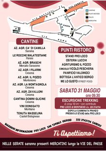 Montiano DiVino