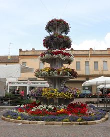 migliarino_in_fiore