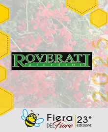 migliarino_in_fiore