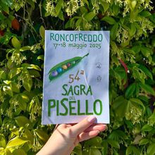 sagra-del-pisello-roncofreddo