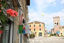 migliarino_in_fiore