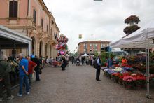 migliarino_in_fiore
