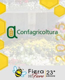 migliarino_in_fiore