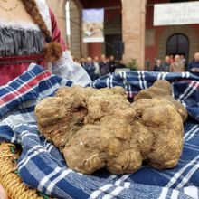 grande tartufo bianco portato du un cesto sullo sfondo della fiera del tartufo di Sant'Agata Feltria
