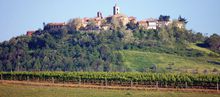camminate_montiano