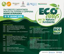 ecodays-Bagno-di-romagna