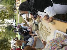 Sagra Patata Pomposa - Codigoro (FE)