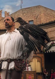 palio_del_daino_mondaino