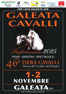 Galeata Cavalli. Fiera Cavlli. Mostra del puledro Galeata Cavalli