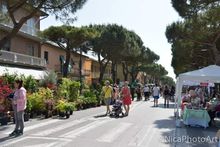 giardini_d_aMARE_PuntaMarina