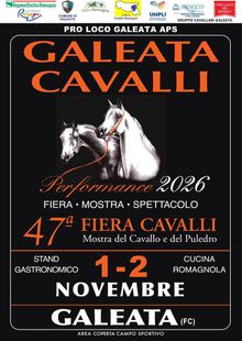 Locandina Galeata Cavalli. Fiera Cavalli.1 e 2 novembre 2026 Mostra del puledro