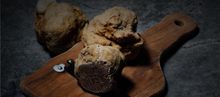 Fossa_TartufoeVenere_Mondaino