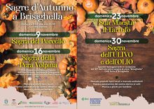 sagra dell'ulivo e dell'olio brisighella