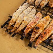 Il Pesce fa Festa Cesenatico