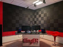 GingER_web_Radio