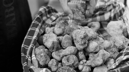 Sua maestà Il Tartufo