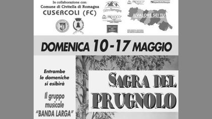 Sagra del  Prugnolo