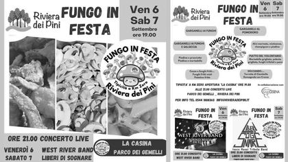 Fungo in Festa