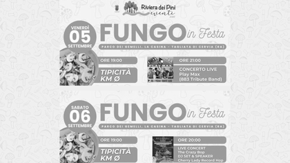 Fungo in Festa