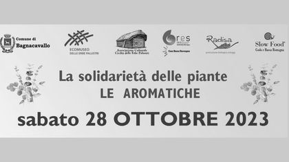 La Solidarietà delle Piante: Le Aromatiche