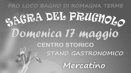 Sagra del Prugnolo