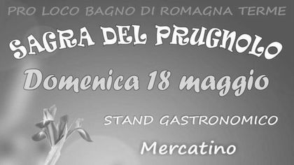 Sagra del Prugnolo