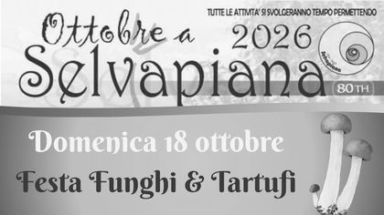 Ottobre a Selvapiana: Festa Funghi e Tartufi