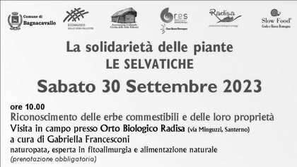 La Solidarietà delle Piante Selvatiche