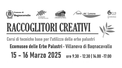 Corso di tecniche di base per l’utilizzo delle erbe palustri