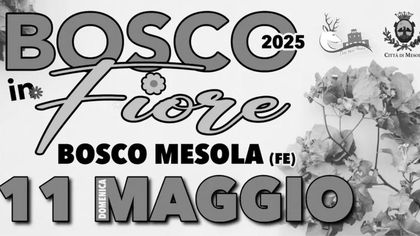 Bosco in Fiore