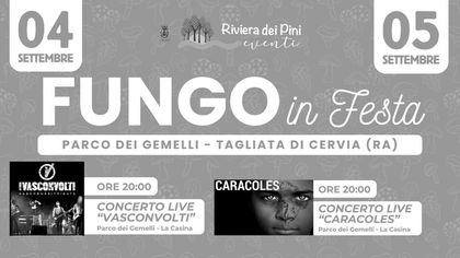 Fungo in Festa