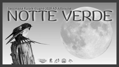 Notte Verde
