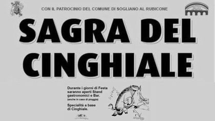 Sagra del Cinghiale Ponte Uso
