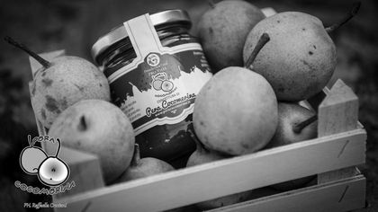 Sagra della Pera Cocomerina