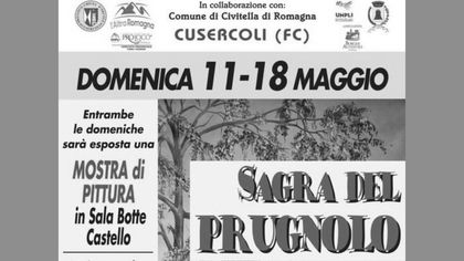 Sagra del  Prugnolo