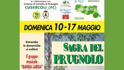 Sagra del  Prugnolo