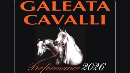 Galeata Cavalli