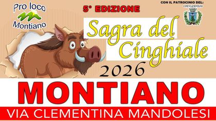 Sagra del Cinghiale