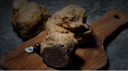 Fossa, Tartufo e Venere