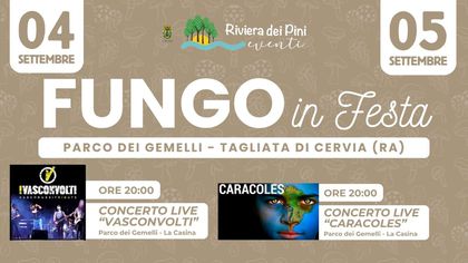 Fungo in Festa