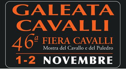 Galeata Cavalli Galeata Cavalli