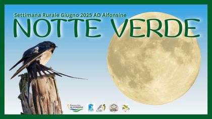 Notte Verde